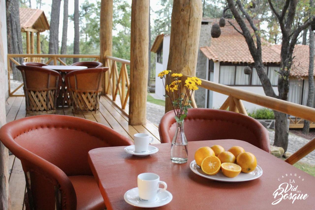 Отель Cabanas La Vid Del Bosque Тапальпа Экстерьер фото