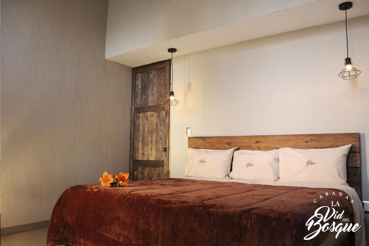 Отель Cabanas La Vid Del Bosque Тапальпа Экстерьер фото