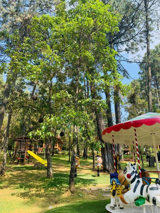 Отель Cabanas La Vid Del Bosque Тапальпа Экстерьер фото