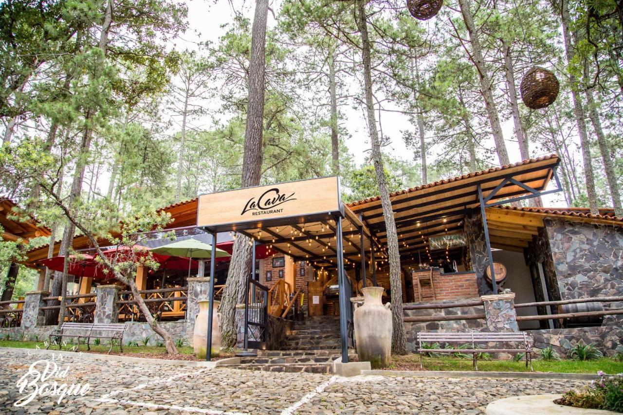 Отель Cabanas La Vid Del Bosque Тапальпа Экстерьер фото