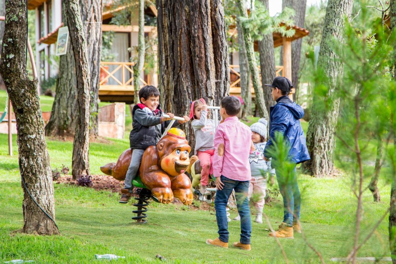 Отель Cabanas La Vid Del Bosque Тапальпа Экстерьер фото