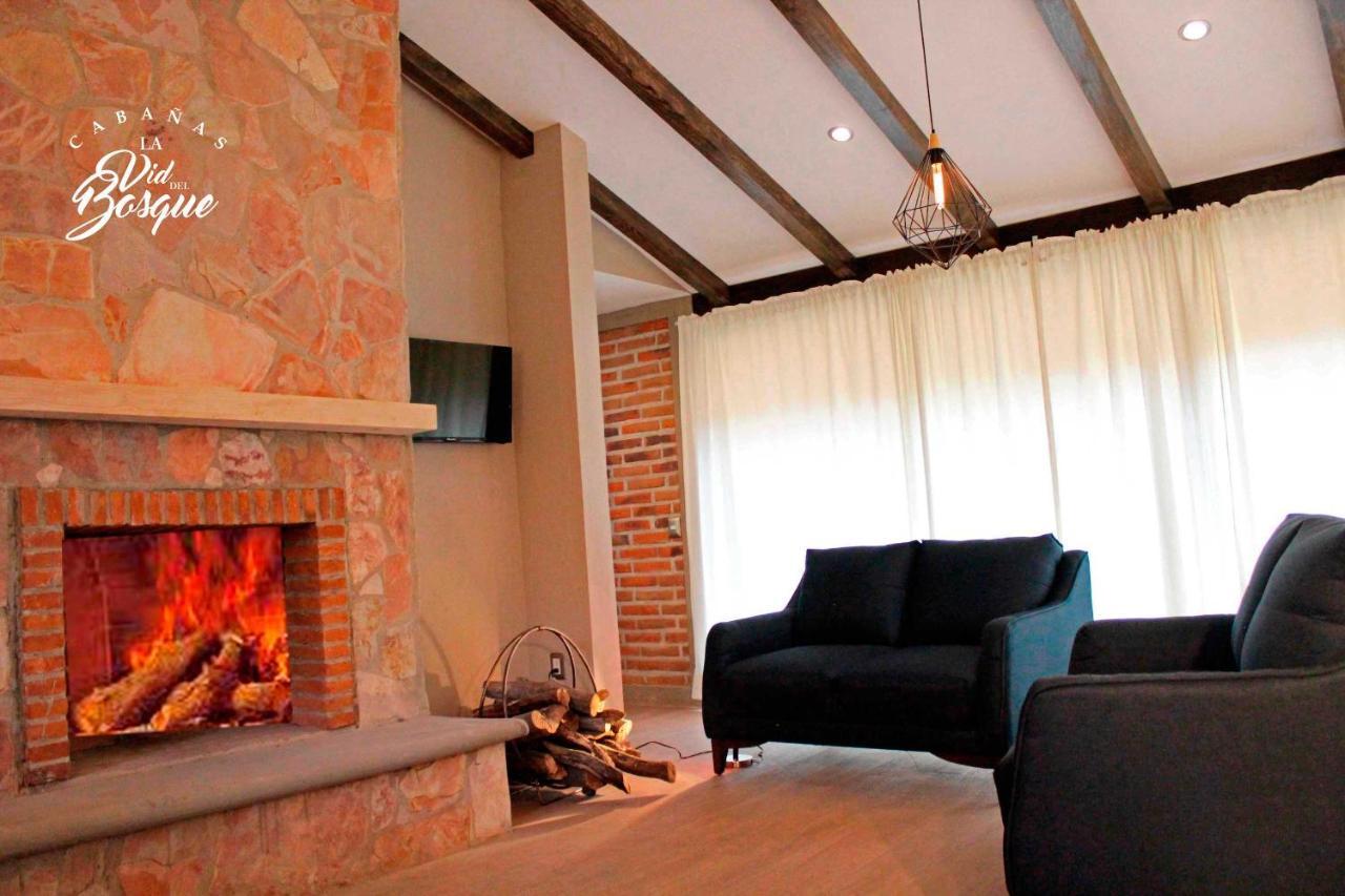 Отель Cabanas La Vid Del Bosque Тапальпа Экстерьер фото