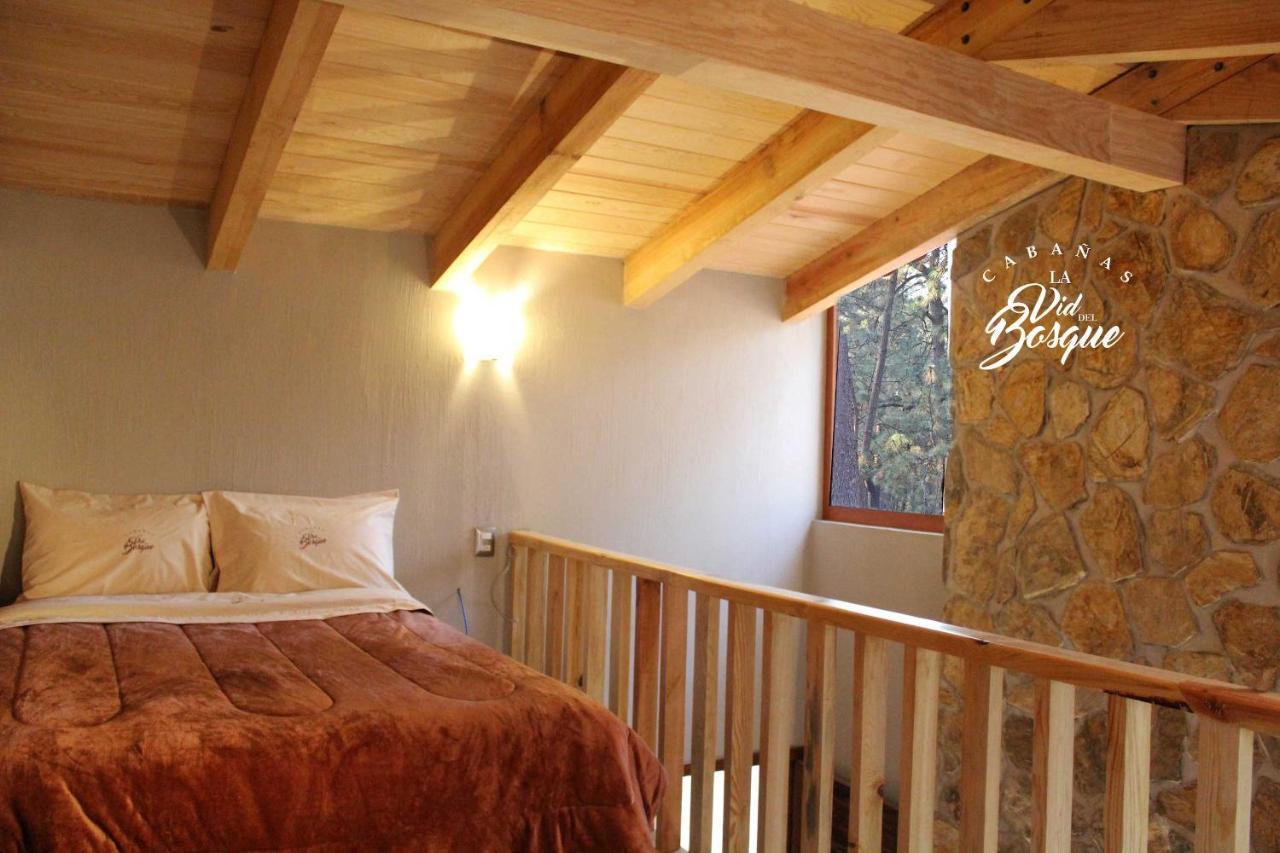 Отель Cabanas La Vid Del Bosque Тапальпа Экстерьер фото
