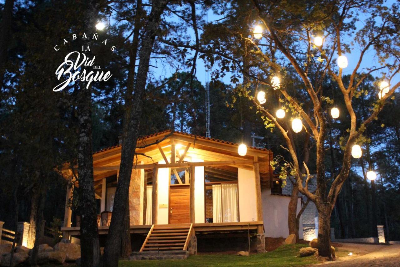 Отель Cabanas La Vid Del Bosque Тапальпа Экстерьер фото