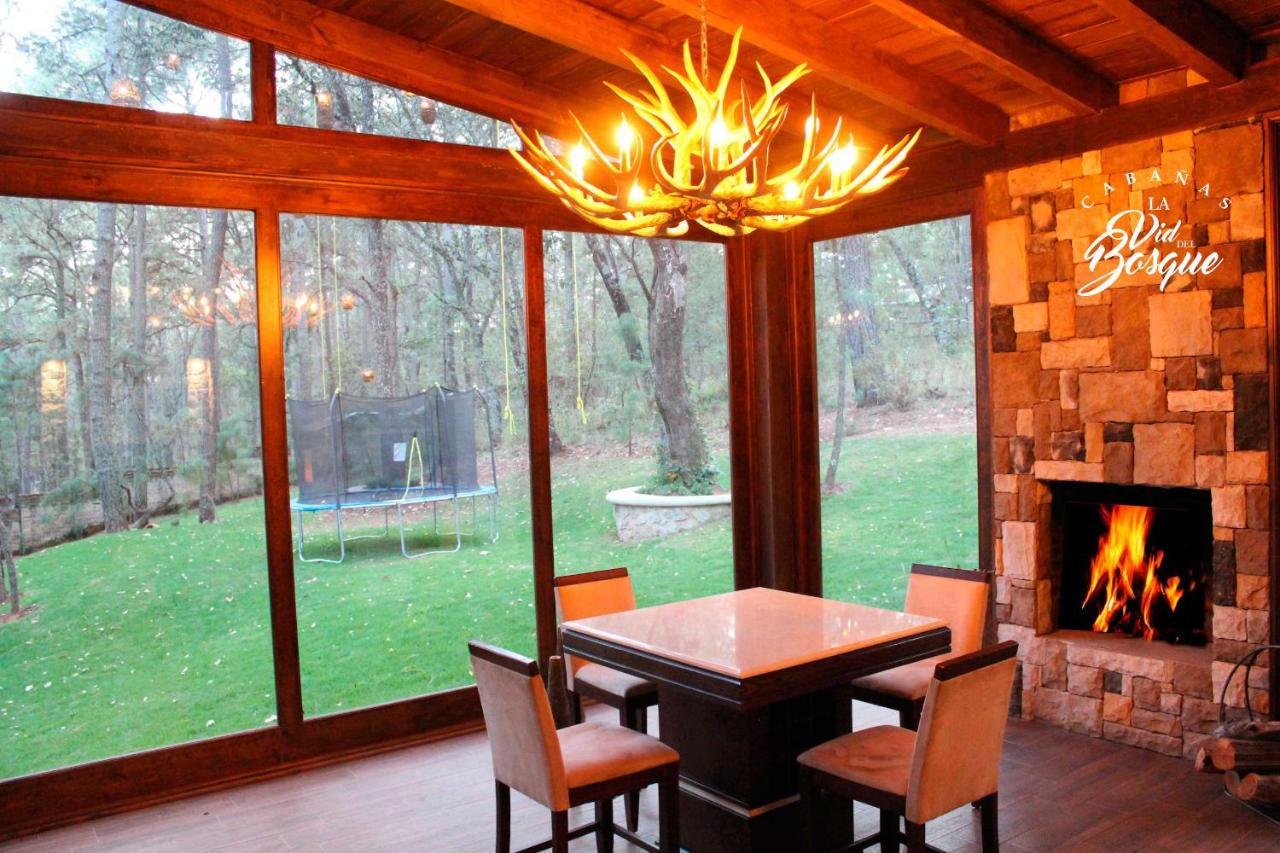 Отель Cabanas La Vid Del Bosque Тапальпа Экстерьер фото