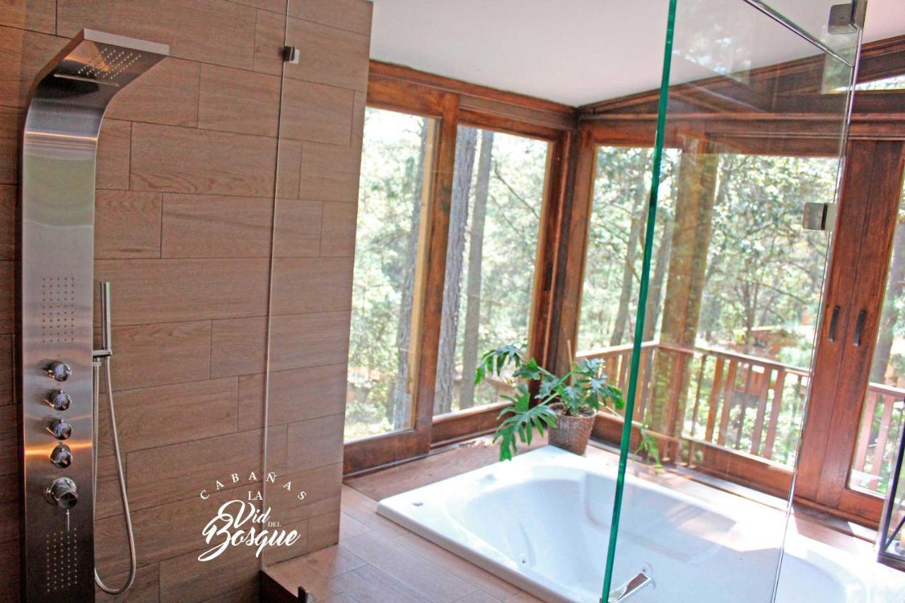 Отель Cabanas La Vid Del Bosque Тапальпа Экстерьер фото