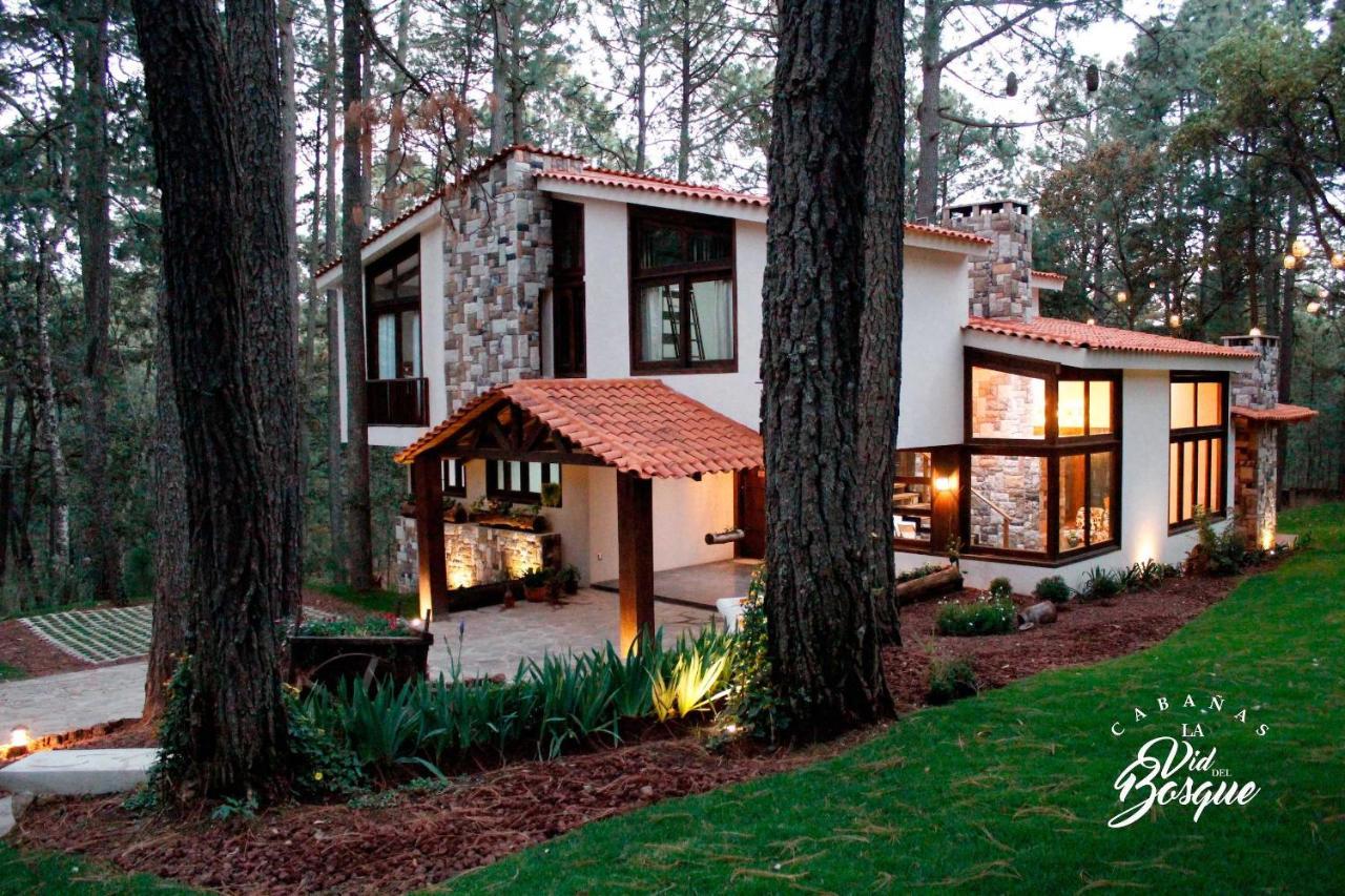 Отель Cabanas La Vid Del Bosque Тапальпа Экстерьер фото