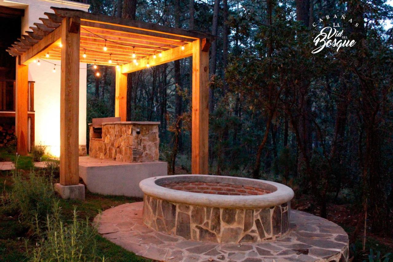 Отель Cabanas La Vid Del Bosque Тапальпа Экстерьер фото