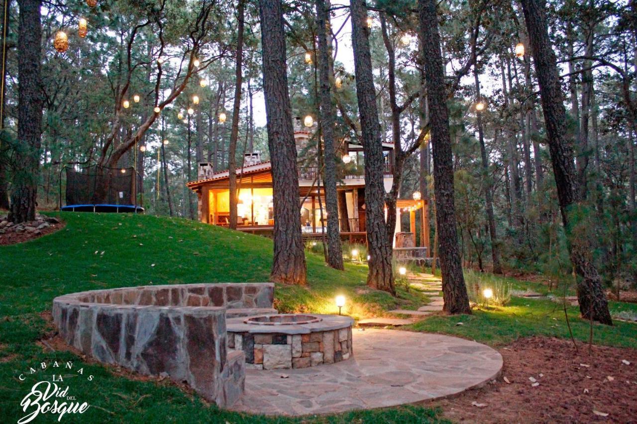 Отель Cabanas La Vid Del Bosque Тапальпа Экстерьер фото