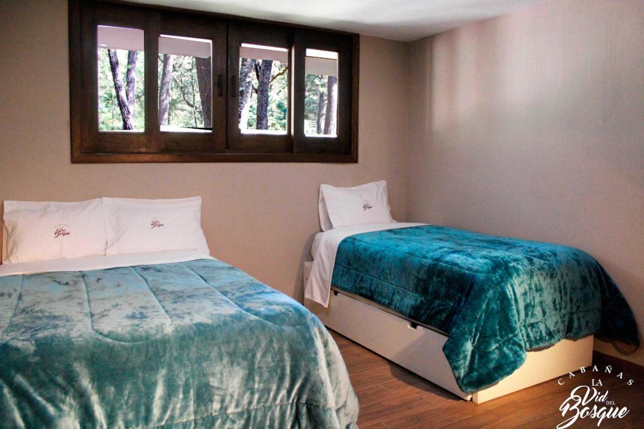Отель Cabanas La Vid Del Bosque Тапальпа Экстерьер фото