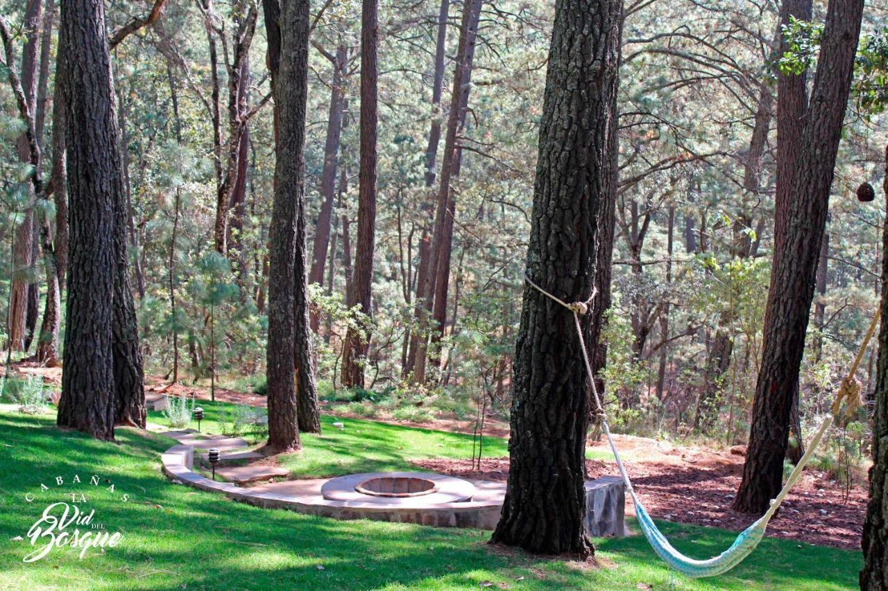 Отель Cabanas La Vid Del Bosque Тапальпа Экстерьер фото