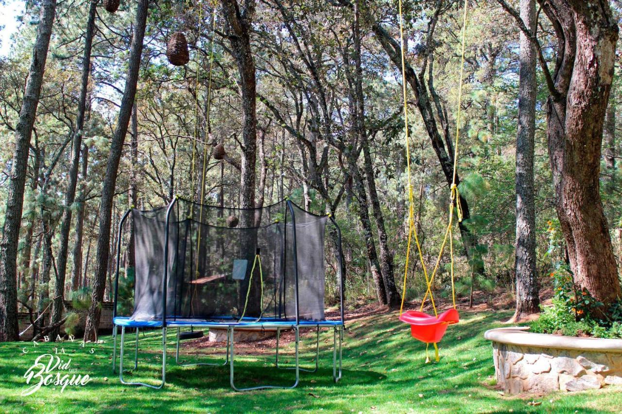 Отель Cabanas La Vid Del Bosque Тапальпа Экстерьер фото