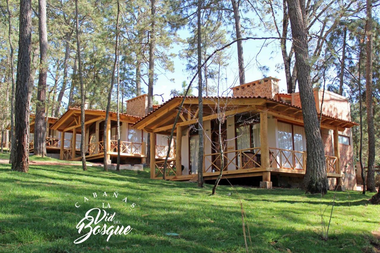 Отель Cabanas La Vid Del Bosque Тапальпа Экстерьер фото